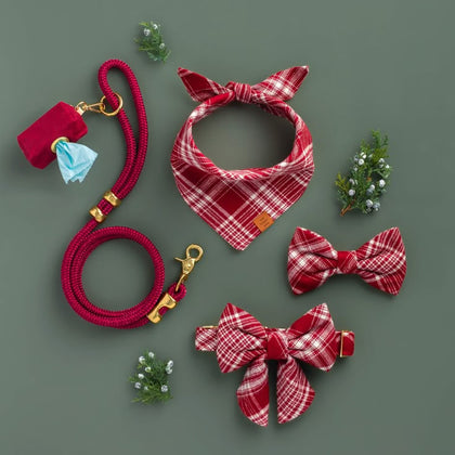 Pet Care & Accessories