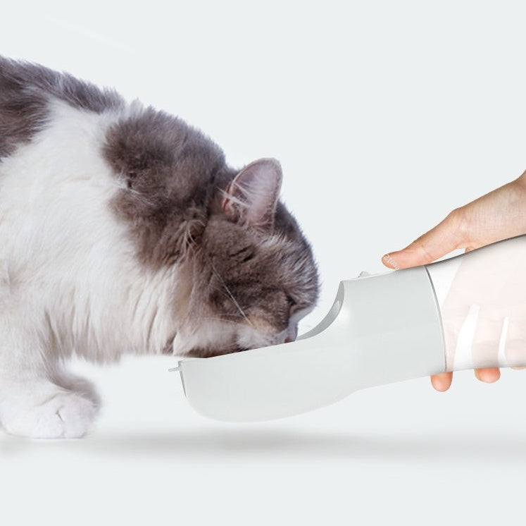 image Close-up of a cat drinking from a portable dog water dispenser pet water bottle.