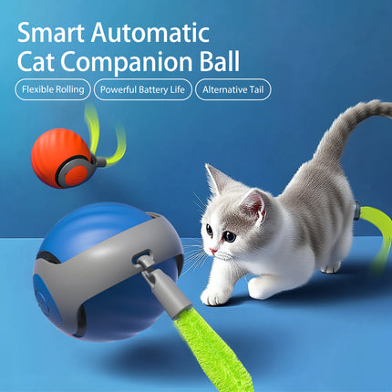 2025 Smart Interactive Cat Ball – Type-C Rechargeable Rolling Toy for Cats & Kittens – Automatic Ball for Cats, Dogs, and Small Pets
