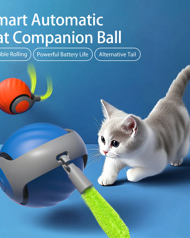 2025 Smart Interactive Cat Ball – Type-C Rechargeable Rolling Toy for Cats & Kittens – Automatic Ball for Cats, Dogs, and Small Pets