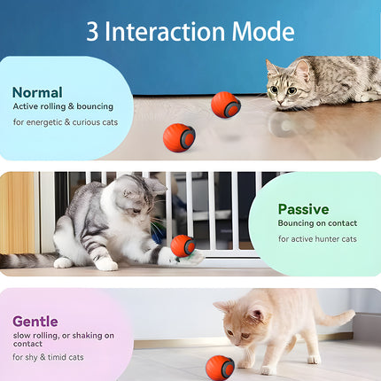 2025 Smart Interactive Cat Ball – Type-C Rechargeable Rolling Toy for Cats & Kittens – Automatic Ball for Cats, Dogs, and Small Pets
