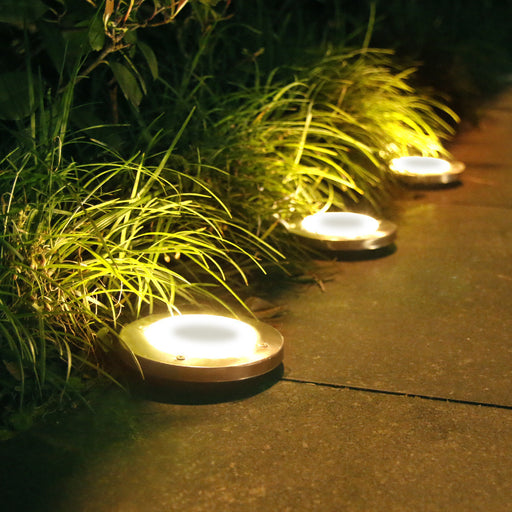 Solar-powered outdoor lights embedded in a garden path with grasses.