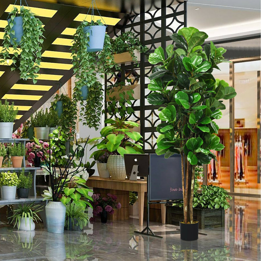 Indoor setting with various potted plants and a decorative screen.