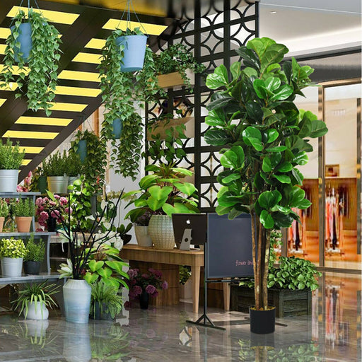 Indoor setting with various potted plants and a decorative screen.