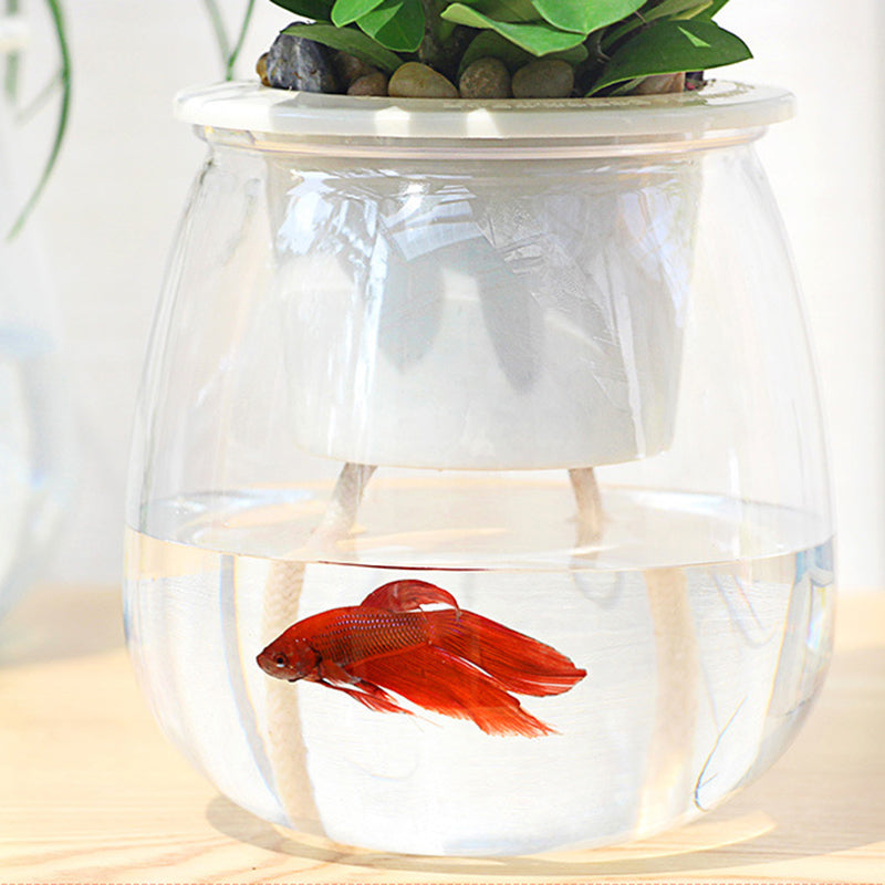 Clear fishbowl with a red fish and green plants on a light background