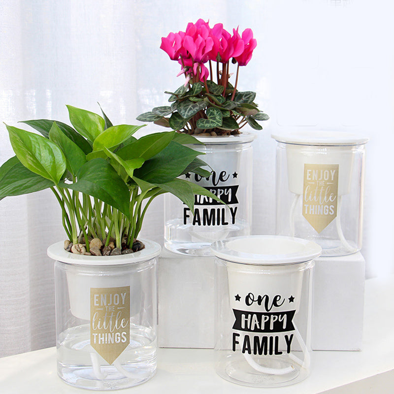 Clear glass planters with plants and motivational messages on a white surface.