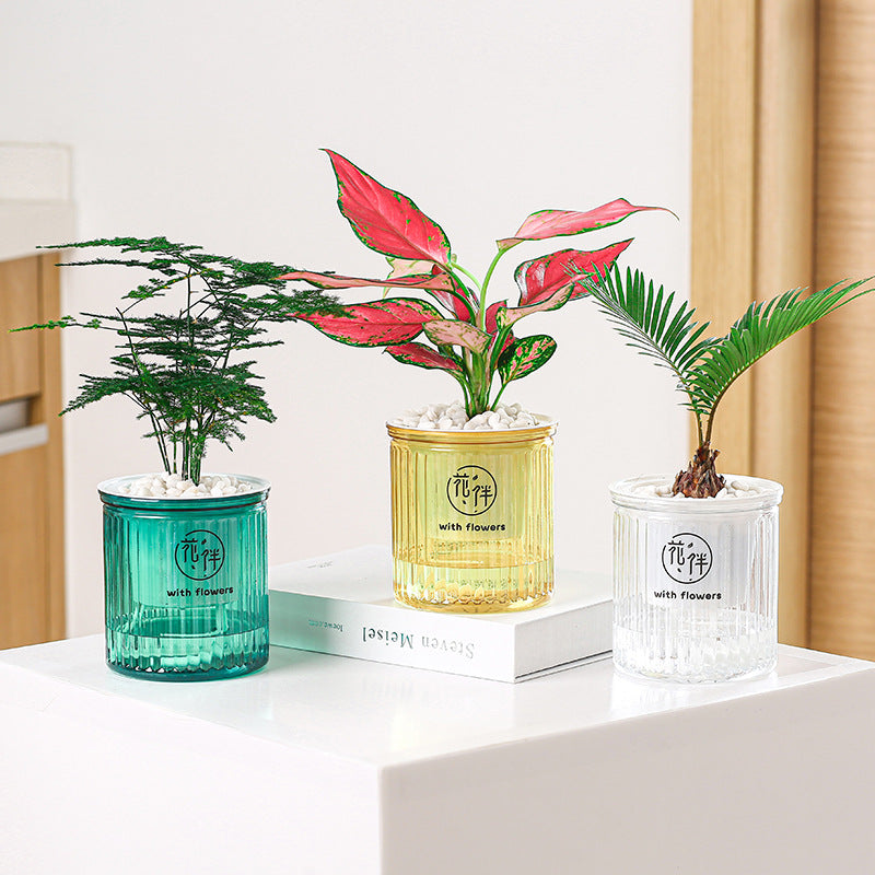 Three potted plants in decorative pots on a white surface with a wooden background