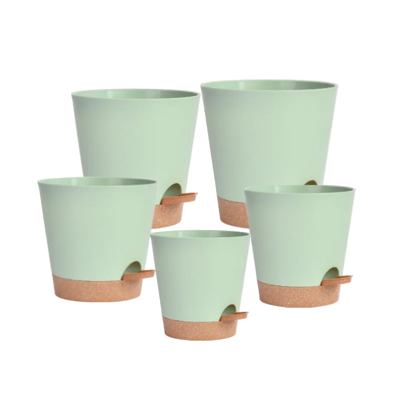 image Set of five light green planters with brown bases on a white background