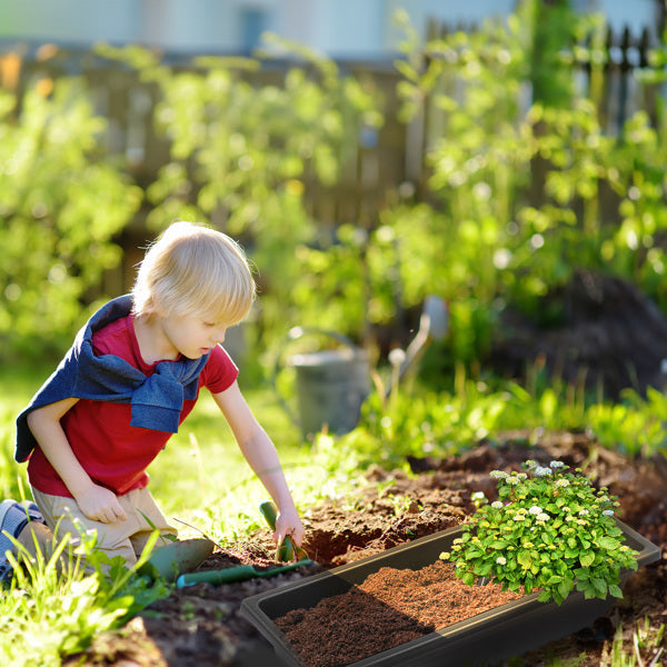 Child gardening in a backyard with plants and tools