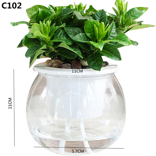 Clear glass fishbowl with green plants and measurements on a white background