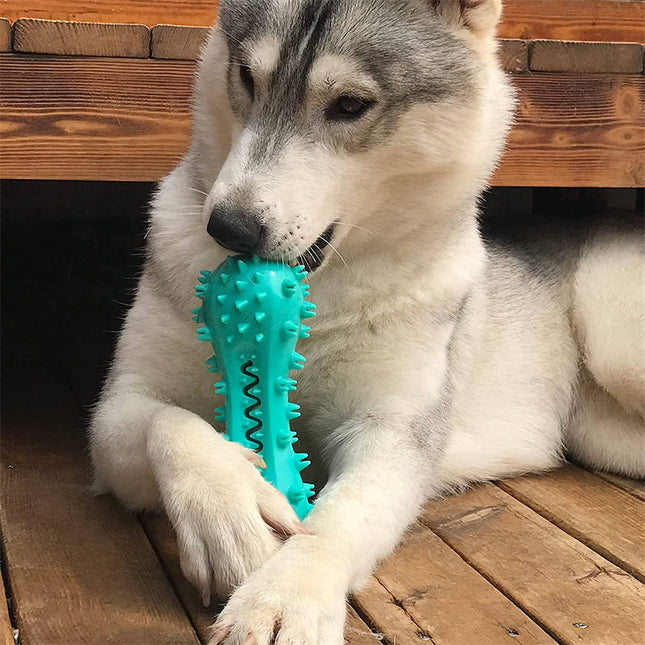 Indestructible Dog Chew Toy – Tough Dog Toys for Aggressive Chewers