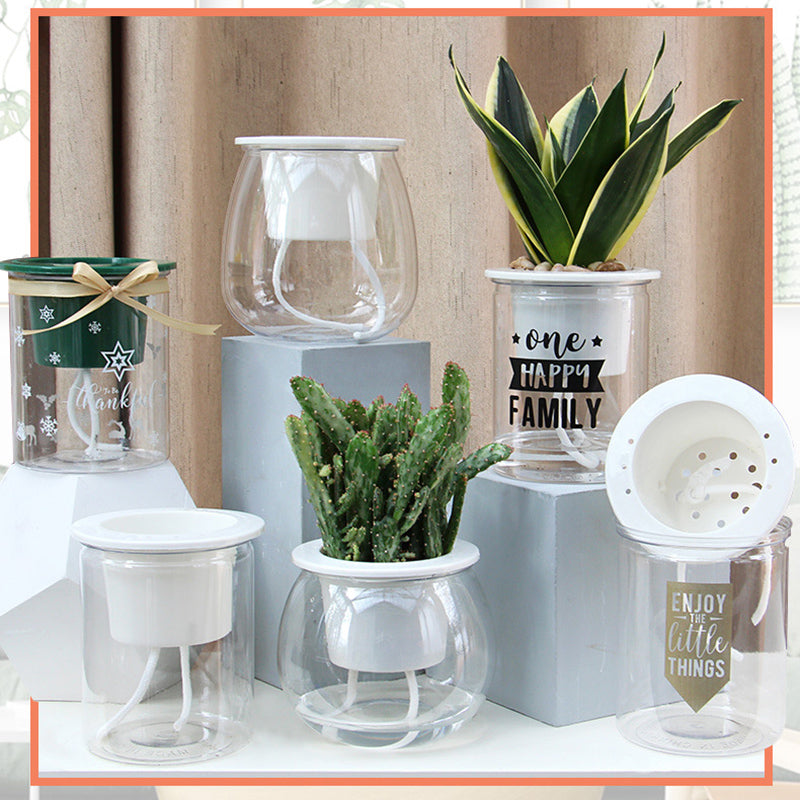 Collection of decorative items including potted plants and glass containers on a neutral background