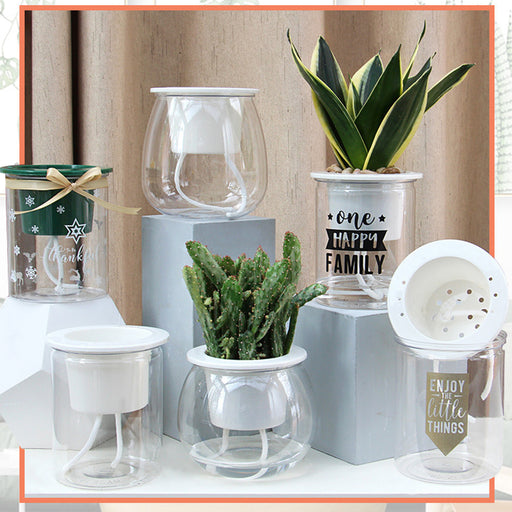 Collection of decorative items including potted plants and glass containers on a neutral background