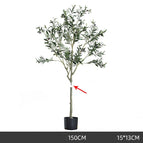 150cm olive foreign trade